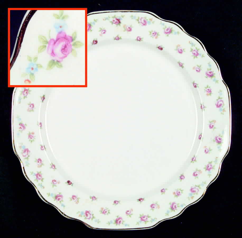 GEO70 Dinner Plate by WS George-1