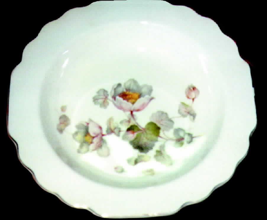 GEO71 Dinner Plate by WS George-1