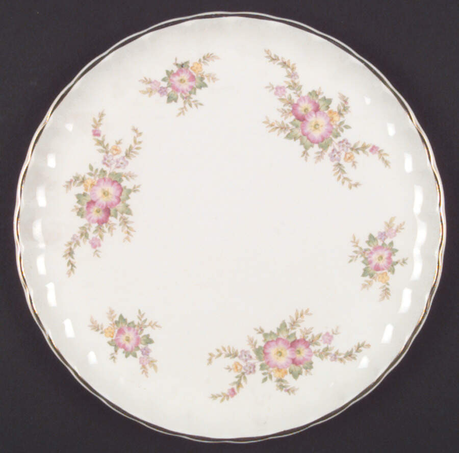 B6735 Dinner Plate by WS George-1