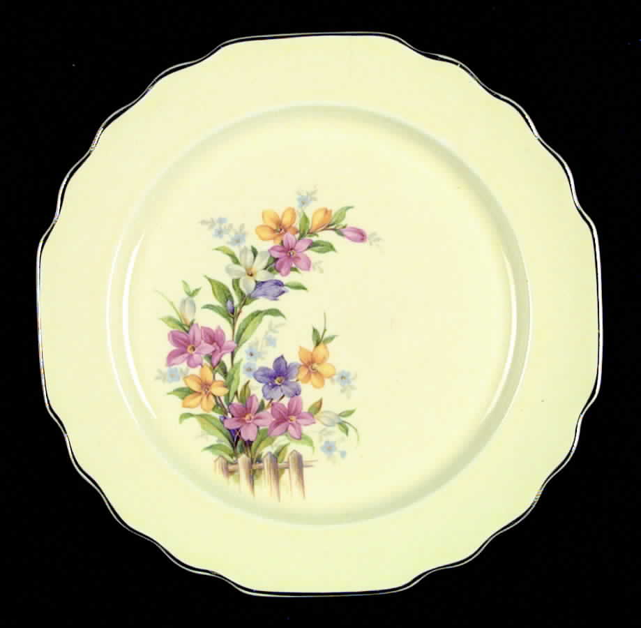GEO76 Dinner Plate by WS George-1