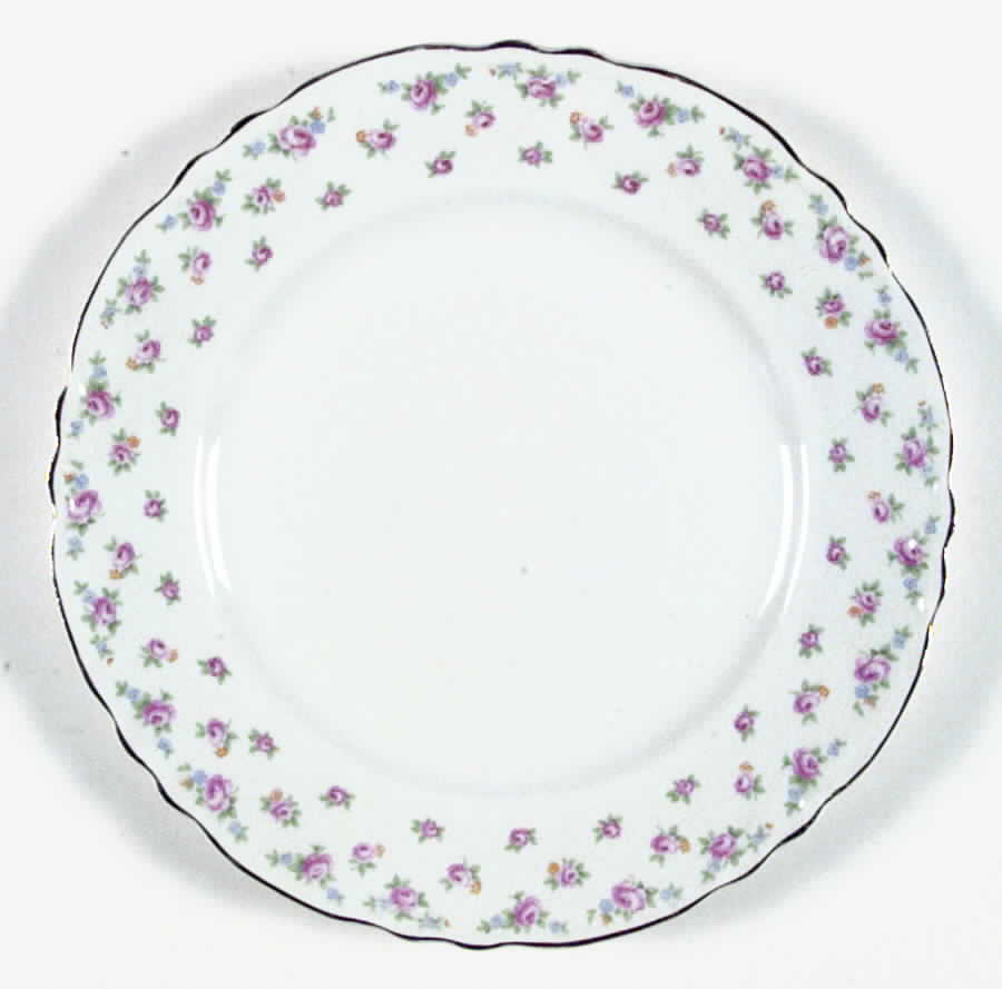 GEO84 Dinner Plate by WS George-1