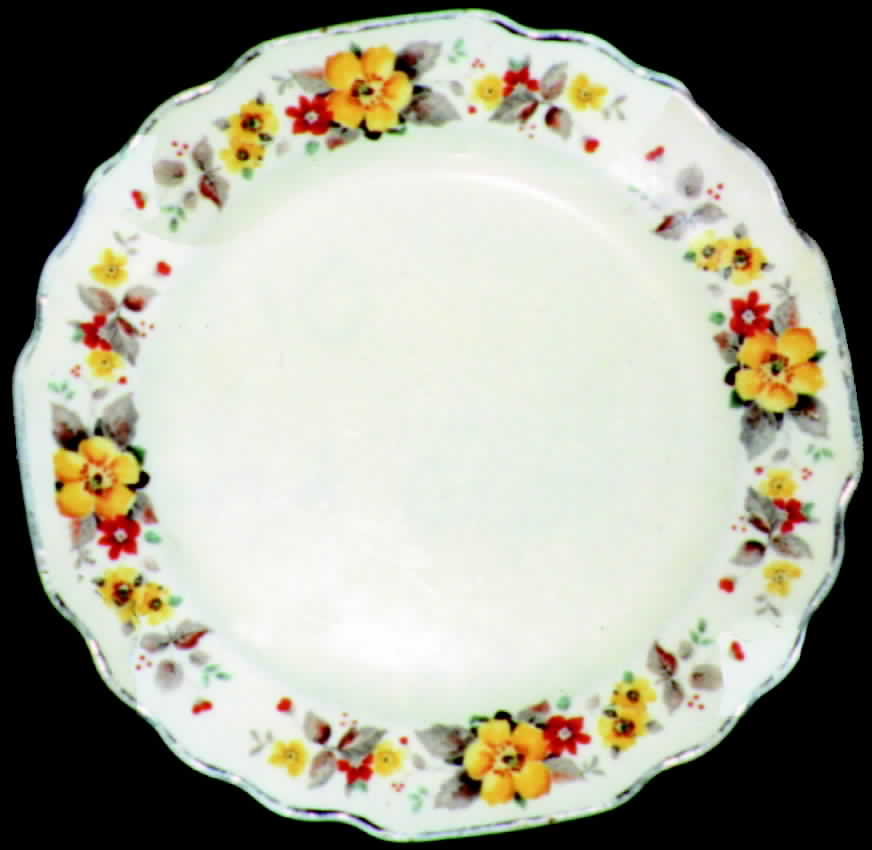 GEO94 Dinner Plate by WS George-1