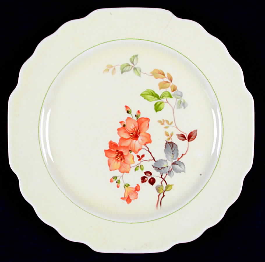 GEO95 Dinner Plate by WS George-1