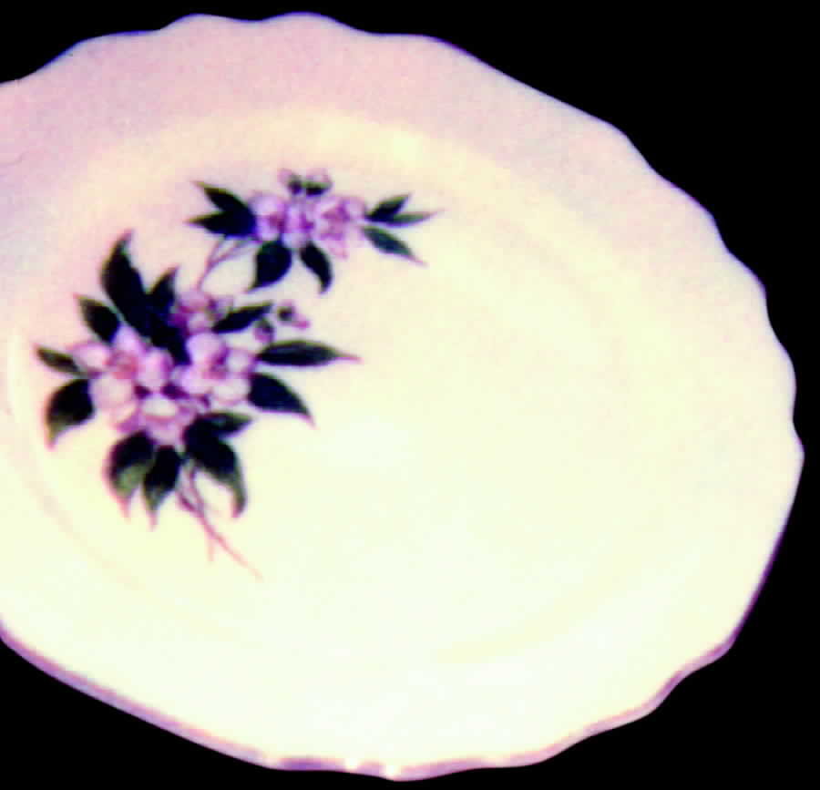 GEO96 Dinner Plate by WS George-1