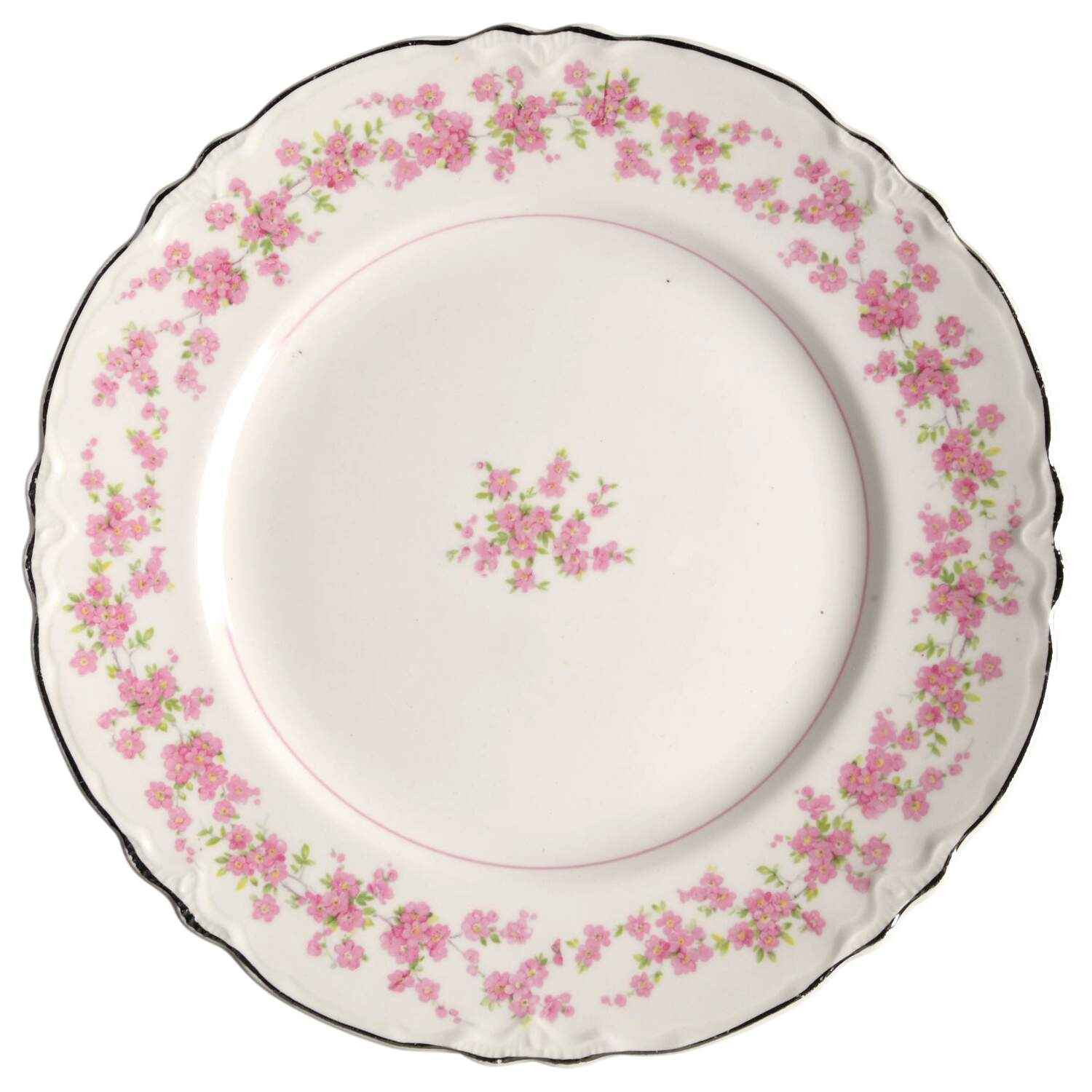 39018 Dinner Plate by WS George-1
