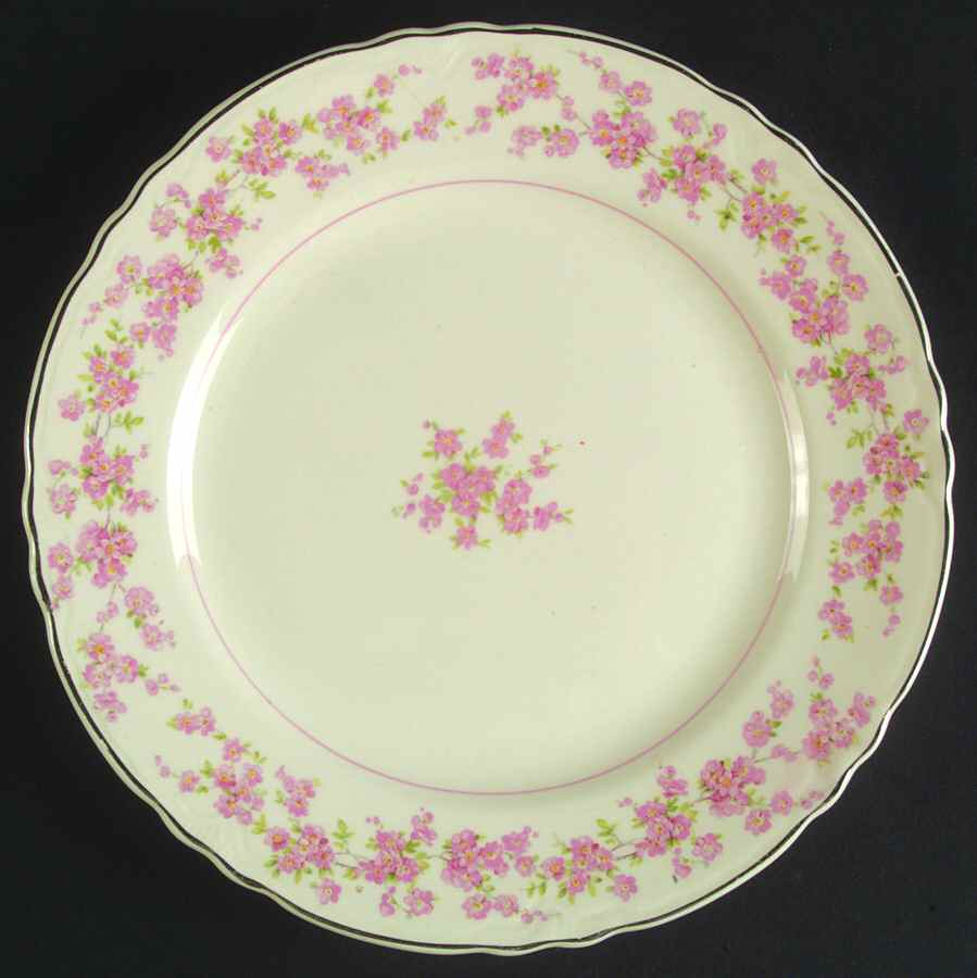 39018 Luncheon Plate by WS George-1