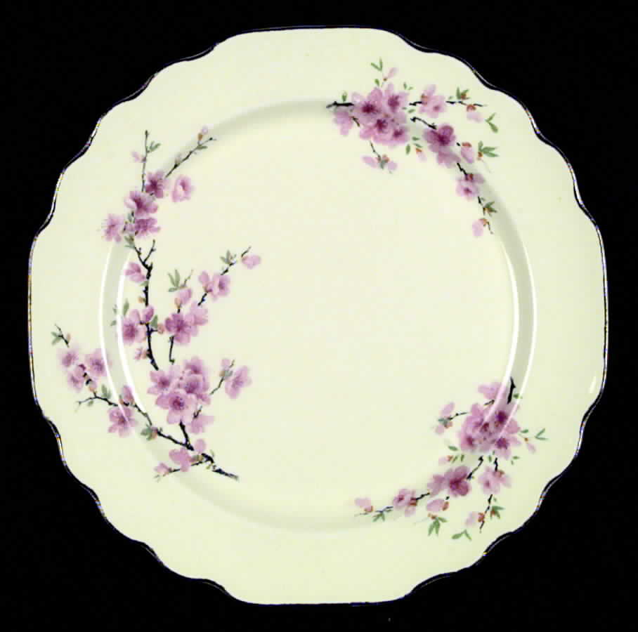 Peach Blossom (Lido, Cream, Platinum) Dinner Plate by WS George-1
