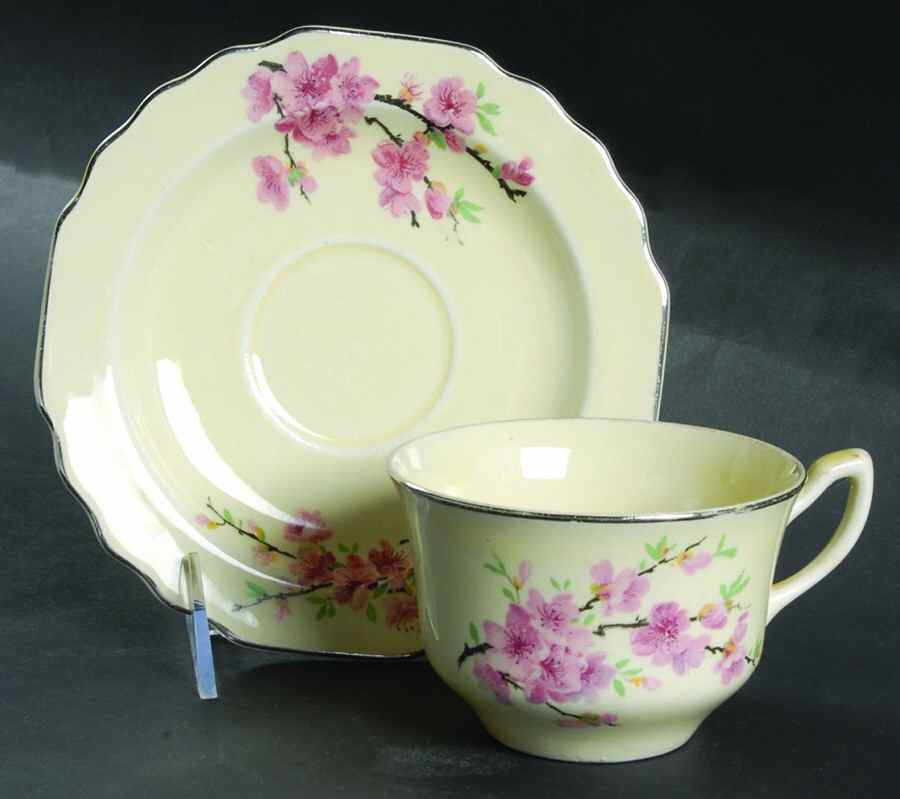 Peach Blossom (Lido, Cream, Platinum) Flat Cup & Saucer Set by WS George-1