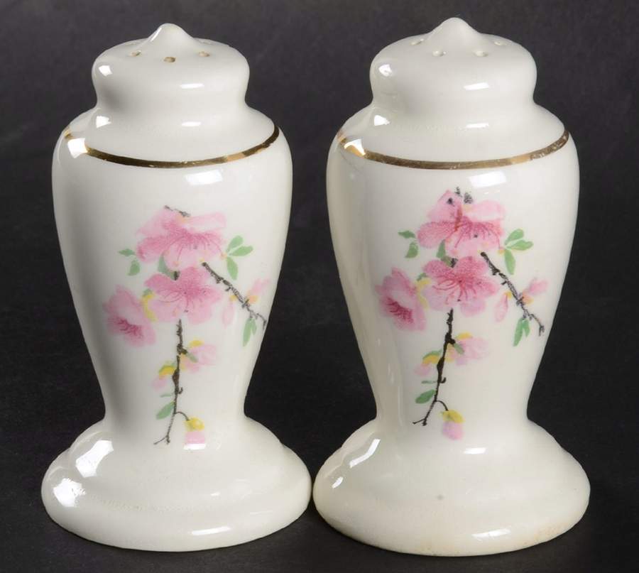 Peach Blossom (Bolero) Salt & Pepper Set by WS George-1