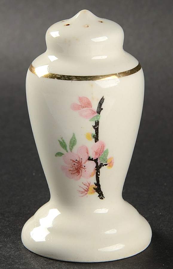 Peach Blossom (Bolero) Salt Shaker by WS George-1
