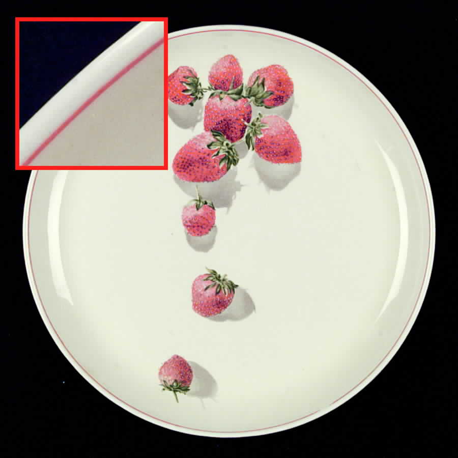Shortcake Dinner Plate by WS George-1