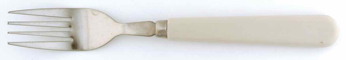 Christmas Holly (Green Stamp) Dinner Fork (7 3/8" or Smaller) by Gibson Designs-1
