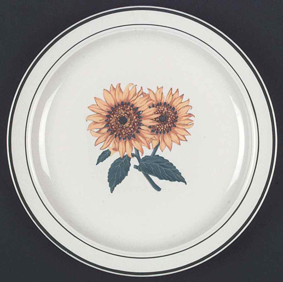 Cottage (White Body) Dinner Plate by Gibson Designs-1