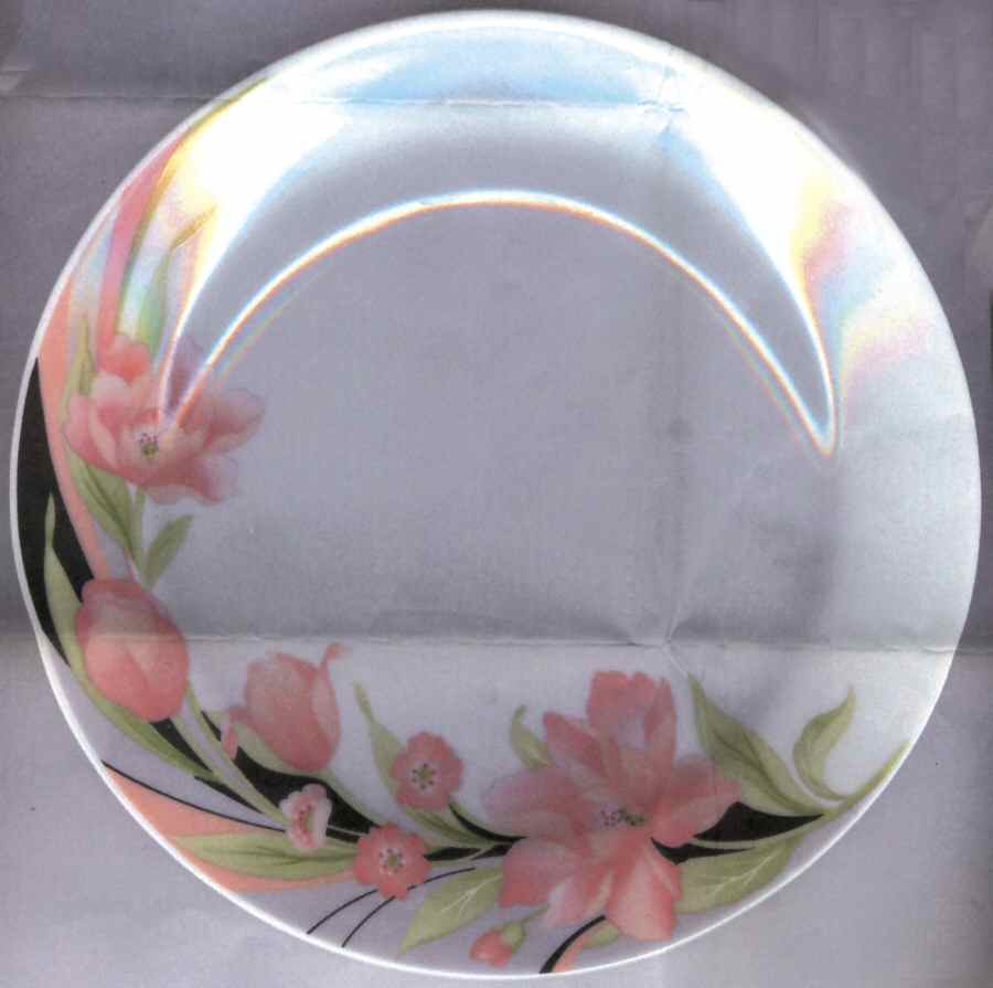Sundance Salad Plate by Gibson Designs-1