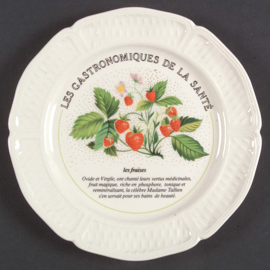 Les Gastronomiques De La Sante Canape Plate by Faiencerie De Gien-1
