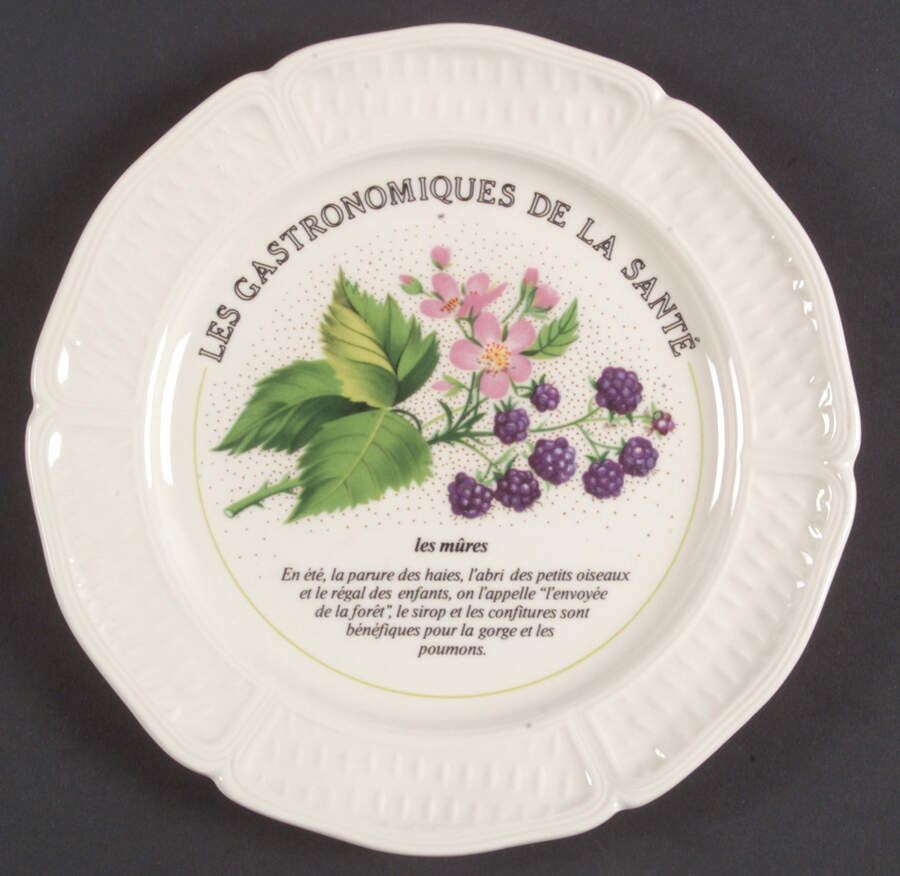 Les Gastronomiques De La Sante Canape Plate by Faiencerie De Gien-1