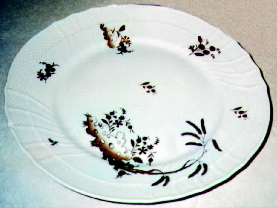 0828m Dinner Plate by Ginori 1735-1