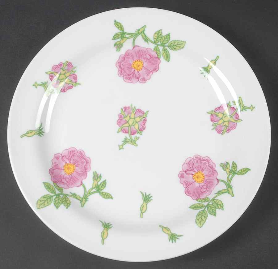 GIN4 Large Dinner Plate by Ginori 1735-1