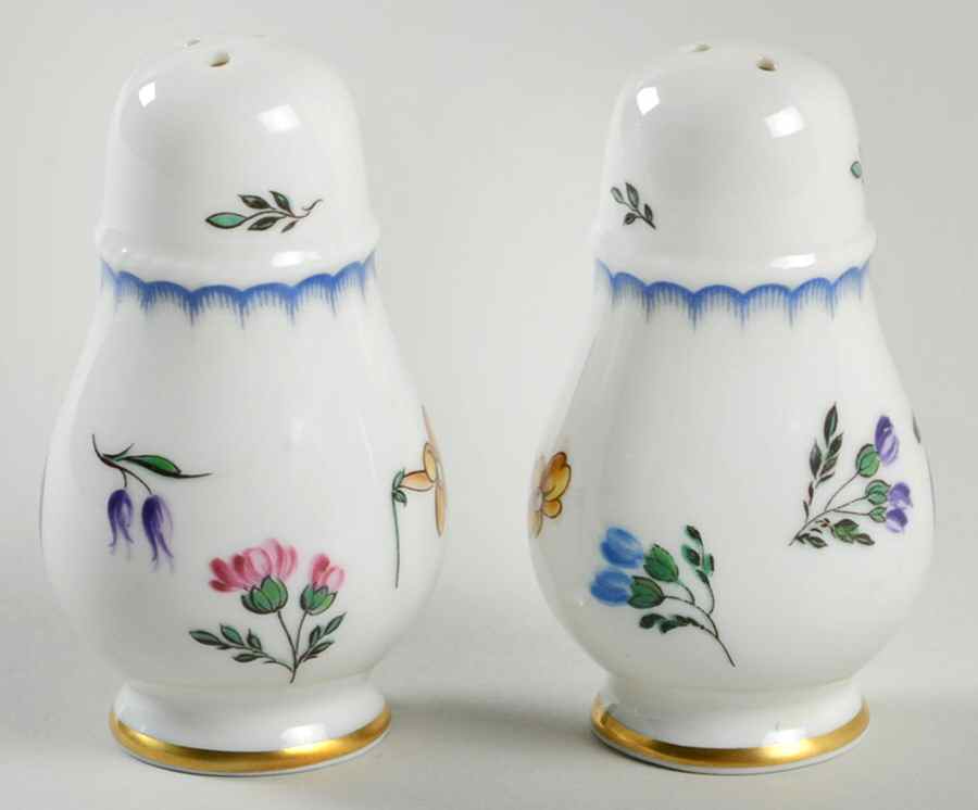 Italian Fruits (Antico Doccia) Salt & Pepper Set by Ginori 1735-1