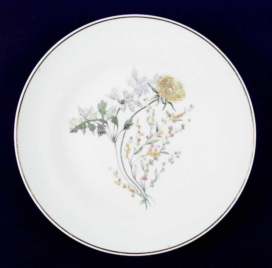 Primavera Dinner Plate by Ginori 1735-1