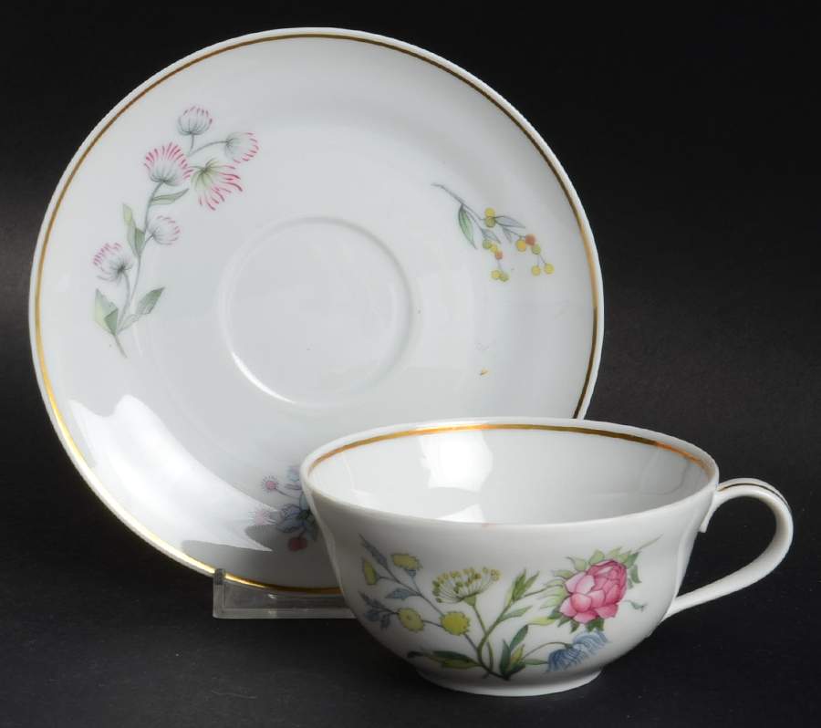 Primavera Flat Cup & Saucer Set by Ginori 1735-1
