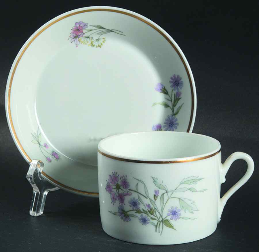 Primavera Flat Cup & Saucer Set by Ginori 1735-1