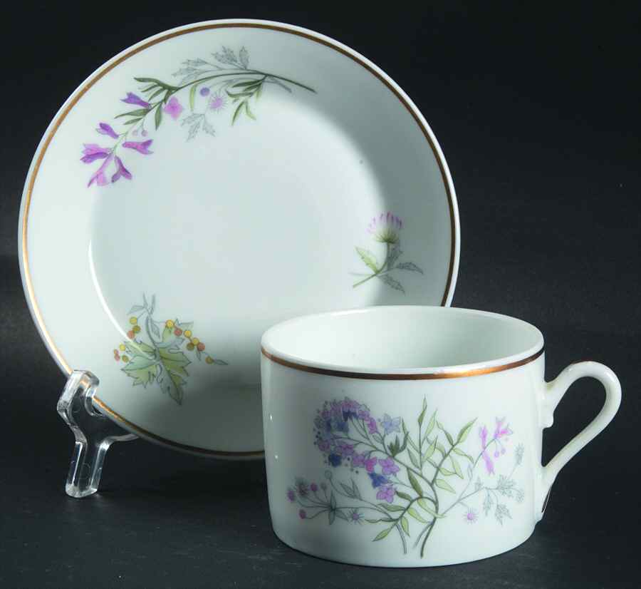 Primavera Flat Cup & Saucer Set by Ginori 1735-1