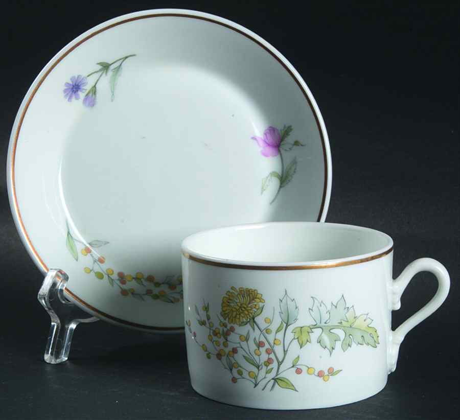 Primavera Flat Cup & Saucer Set by Ginori 1735-1