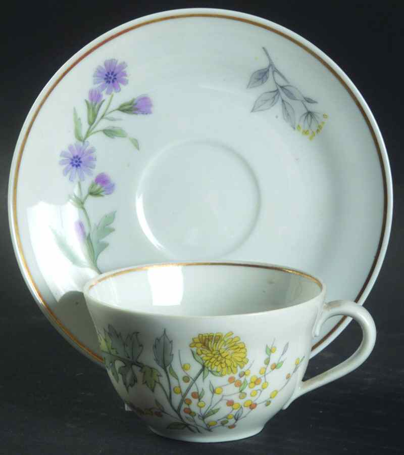 Primavera Flat Demitasse Cup & Saucer Set by Ginori 1735-1