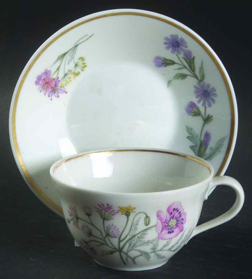 Primavera Flat Demitasse Cup & Saucer Set by Ginori 1735-1