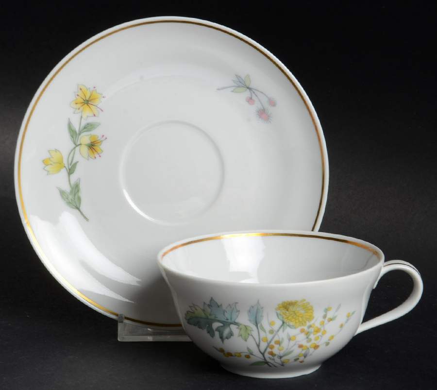 Primavera Flat Cup & Saucer Set by Ginori 1735-1