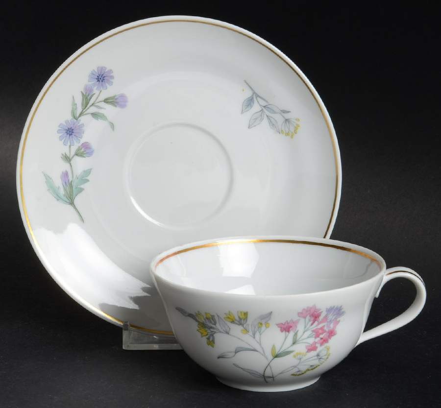 Primavera Flat Cup & Saucer Set by Ginori 1735-1