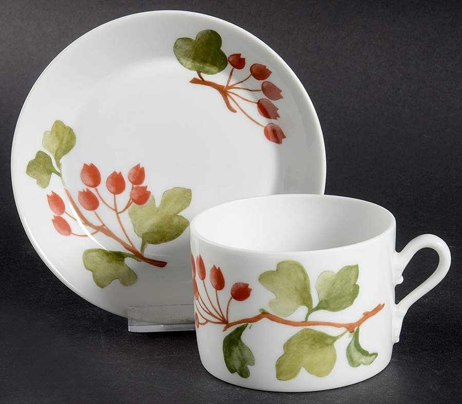 Red Currant Flat Cup & Saucer Set by Ginori 1735-1