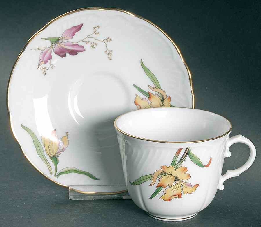 Royal Garden Flat Cup & Saucer Set by Ginori 1735-1