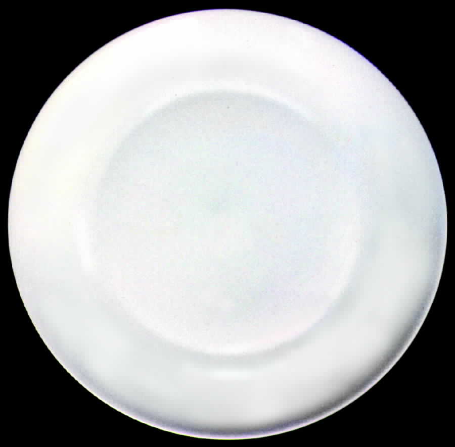 GIR4 Dinner Plate by Giraud China-1