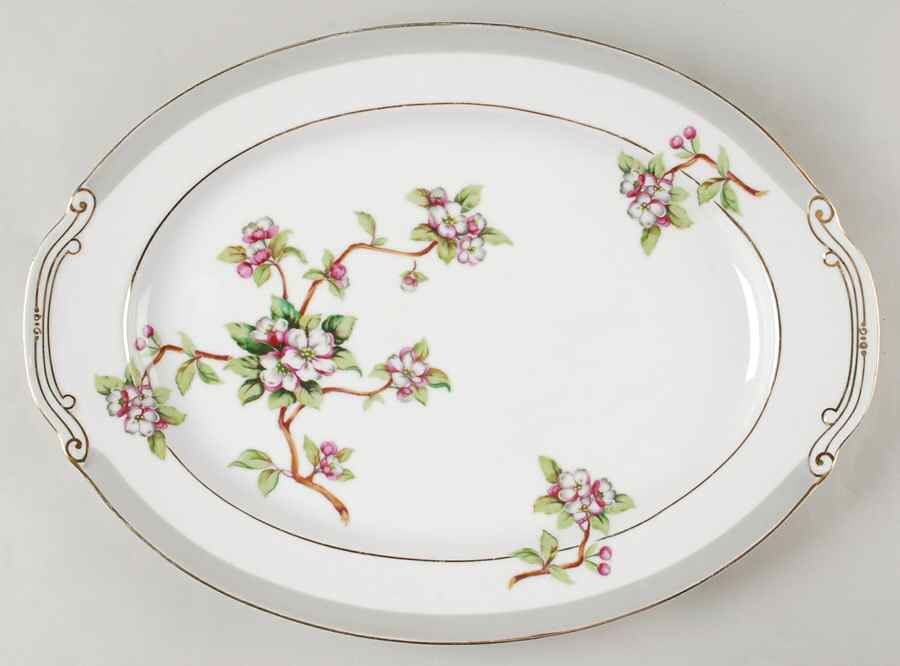 Apple Blossom 16" Oval Serving Platter by Gold China-1