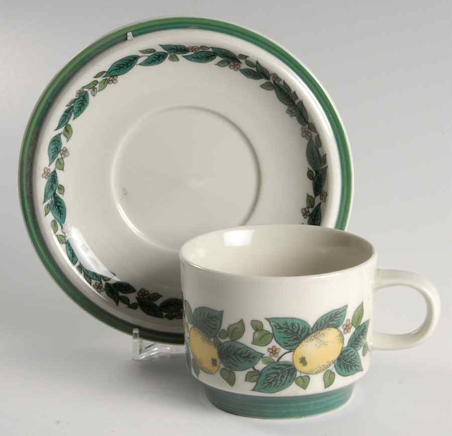 Savoy Flat Cup & Saucer Set by Goebel-1