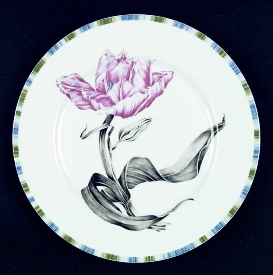 Tulipa Dinner Plate by Bill Goldsmith-1