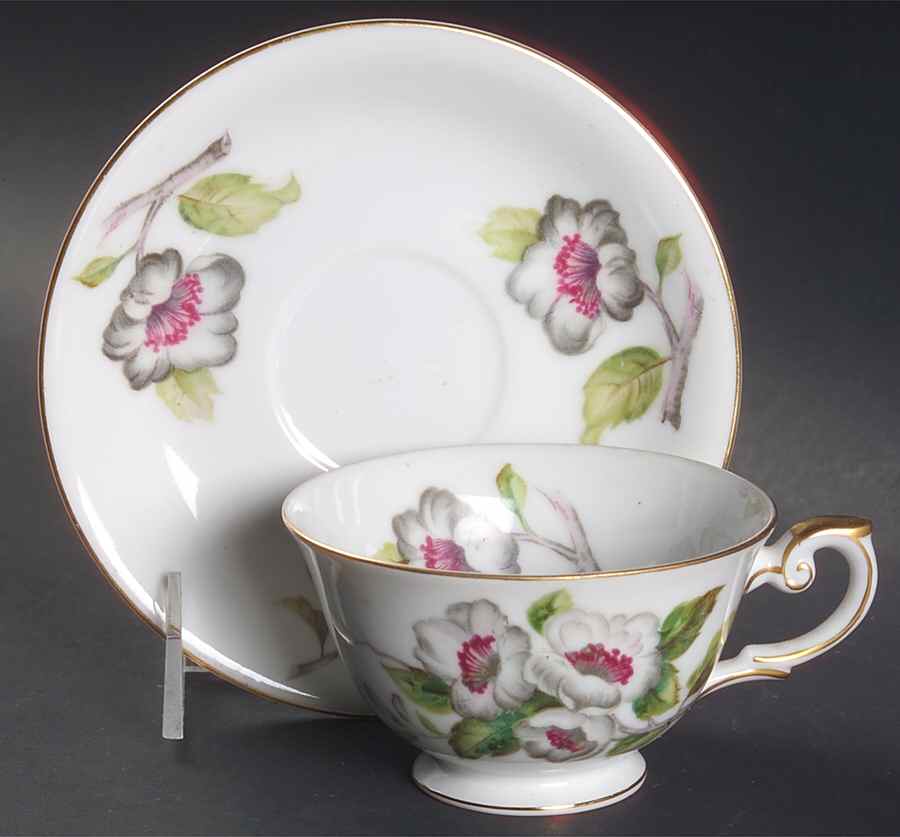 Apple Blossom Footed Cup & Saucer Set by Grace-1