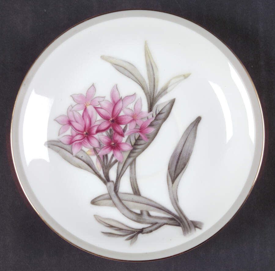 Charleston Saucer by Grace-1