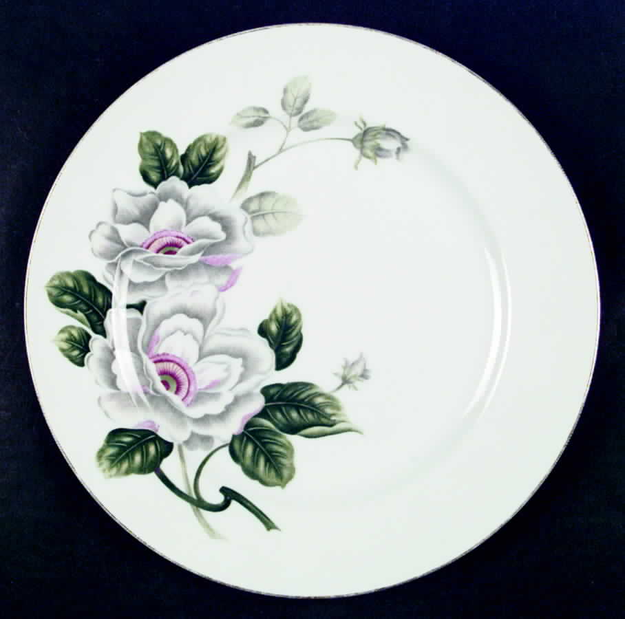 Scarsdale Dinner Plate by Grace-1