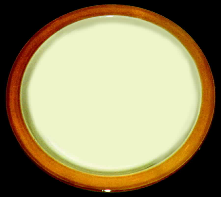 GRE1 Dinner Plate by T G Green (England)-1