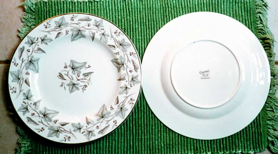 Crestwood Dinner Plate by Grosvenor-1