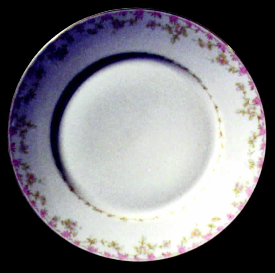 GUE105 Dinner Plate by WM Guerin-1