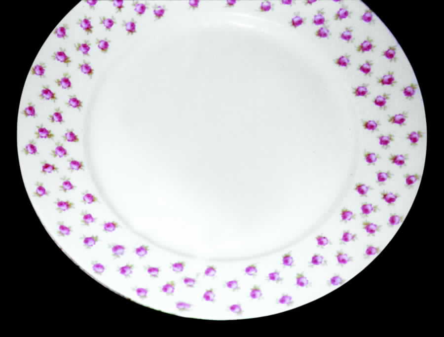 GUE115 Dinner Plate by WM Guerin-1