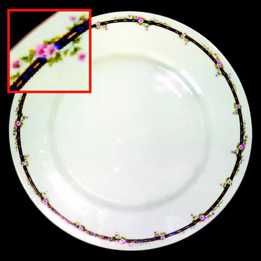 GUE166 Dinner Plate by WM Guerin-1
