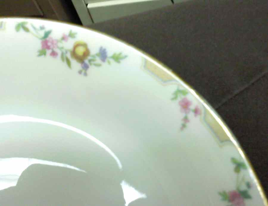 GUE17 Dinner Plate by WM Guerin-1