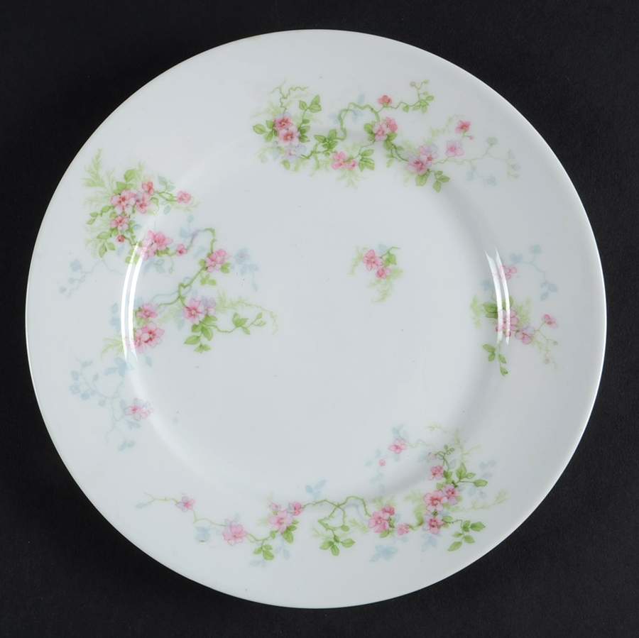 GUE18 Salad Plate by WM Guerin-1