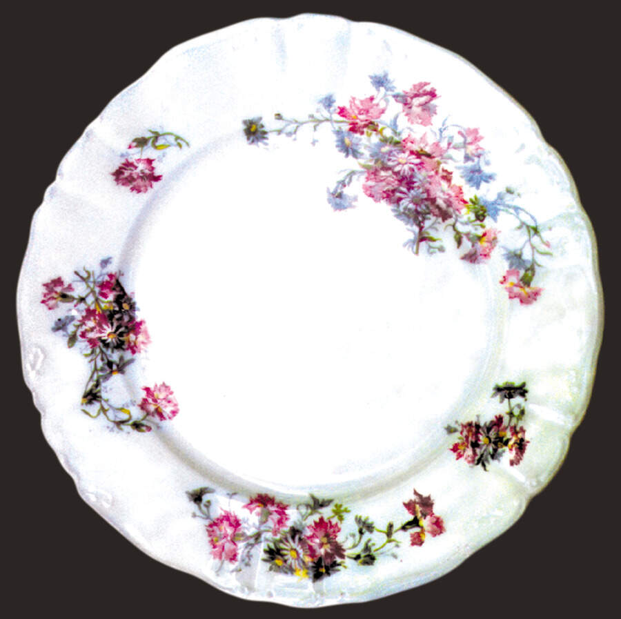 GUE36 Dinner Plate by WM Guerin-1