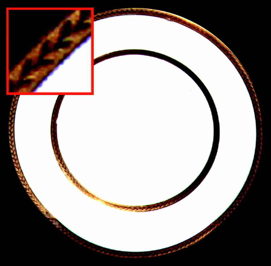 GUE37 Dinner Plate by WM Guerin-1